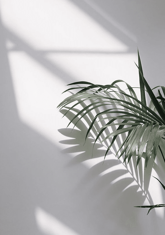 Background shadow